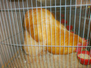 PC070352