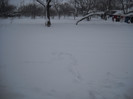 DSCN1524