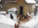 DSCN1536