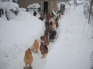 DSCN1548