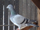 DSC03064