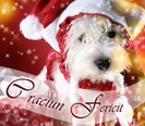 craciun-fericit-