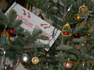 24.12.2012 022