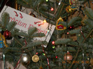 24.12.2012 023