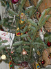 24.12.2012 024