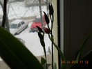24.12.2012 002