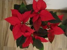 25.12.2012