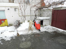 DSCN5852