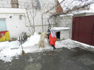DSCN5853