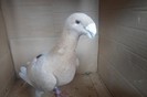 SAM_0228