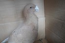 SAM_0233