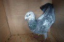 SAM_0234