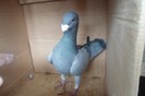 SAM_0243