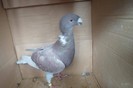 SAM_0257