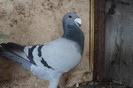 SAM_0064