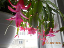 DSCN2489