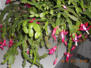 DSCN2495