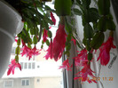 DSCN2521