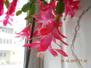 DSCN2522