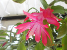 DSCN2523