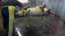 2012-12-22_07-26-37_592
