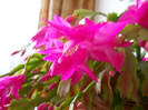 DSCN0387