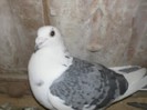PICT0026