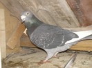 PICT0037