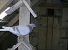 PICT0047