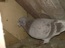 PICT0062