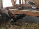 20121226_122249