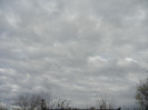 Clouds. Nori (2012, December 01)