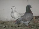 IMG_0541