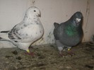 IMG_0581