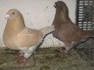 IMG_0596