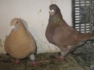 IMG_0597
