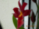 25.12.2012 003