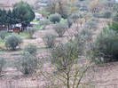 IMG_0020