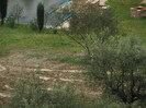 IMG_0021