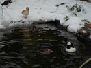 SAM_0042