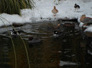 SAM_0044