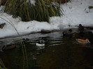 SAM_0048