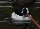 SAM_0049