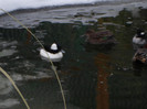 SAM_0060