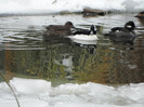 SAM_0064