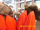 HPIM0547