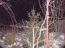 DSCN5840_1322