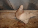DSC00012