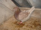 DSC00026