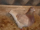DSC00027